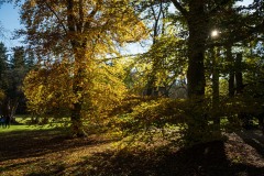 DSCF3329